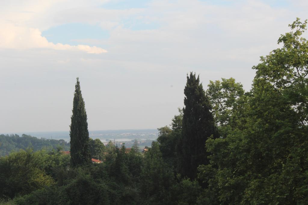 Lady Frantoio Toscano Corsanico-Bargecchia المظهر الخارجي الصورة